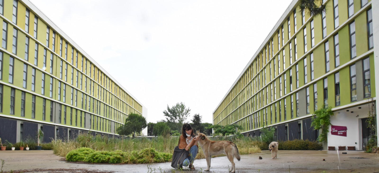 marmara universitesi