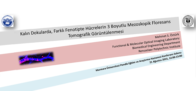 The Conference On The 3D Visualization of  Different Phenotypes of Cells In The  Deep Tissues With Mesoscopic Fluorescence Tomography