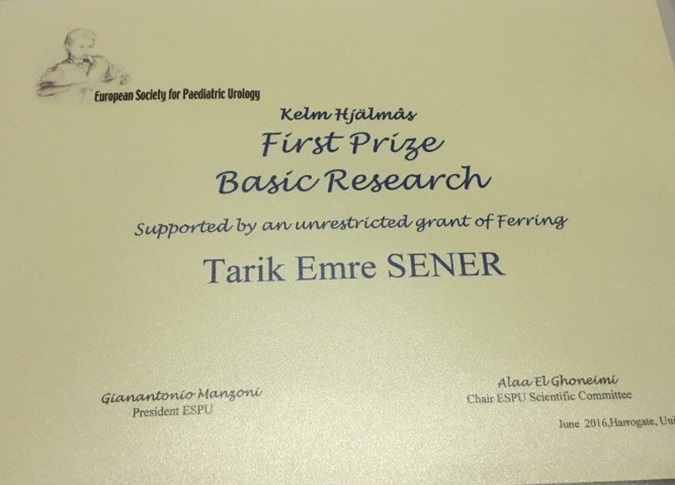 Award Winning Thesis study From Marmara   