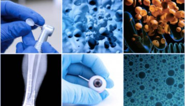 Nanoteknoloji Merkezi'nde Yürütülen Kemik Yapısı Araştırması Elsevier Tarafından Yayınlandı
