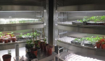 100 Percent Pure Sunflower Seeds Has Been Developed by Entrepreneurial Academics of Marmara University