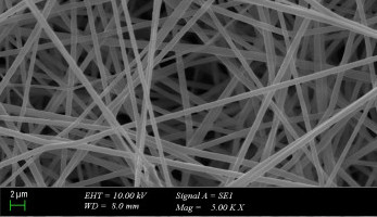 Tübitak Success of Our Bioengineering Student